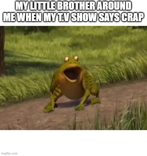 Shrek frog screaming | MY LITTLE BROTHER AROUND ME WHEN MY T.V SHOW SAYS CRAP | image tagged in shrek frog screaming | made w/ Imgflip meme maker