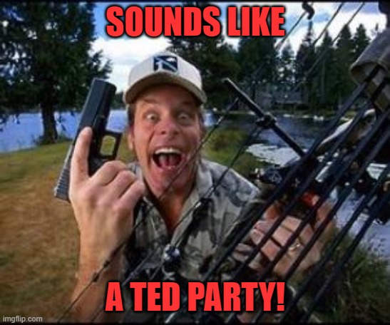 ted nugent | SOUNDS LIKE A TED PARTY! | image tagged in ted nugent | made w/ Imgflip meme maker