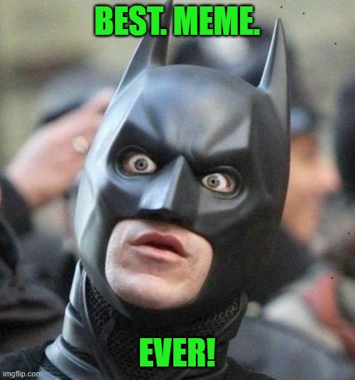 Shocked Batman | BEST. MEME. EVER! | image tagged in shocked batman | made w/ Imgflip meme maker