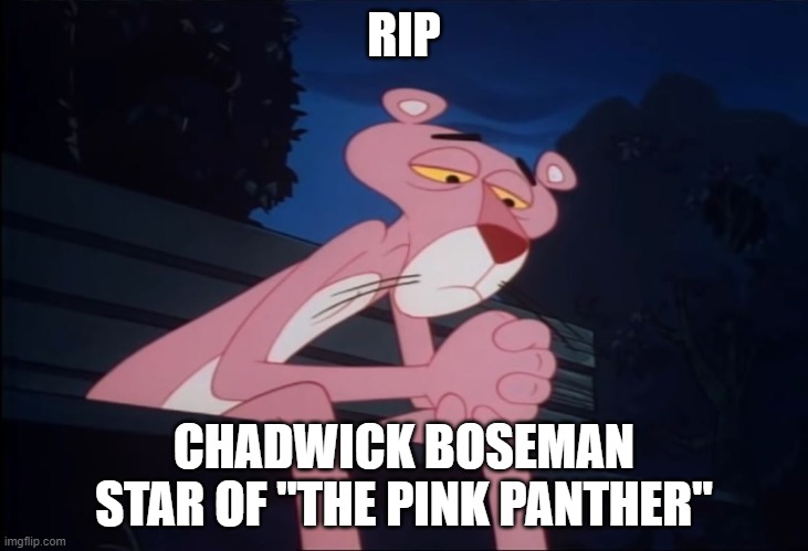 What an actor | RIP; CHADWICK BOSEMAN STAR OF "THE PINK PANTHER" | image tagged in sad pink panther,chadwick boseman,black panther | made w/ Imgflip meme maker