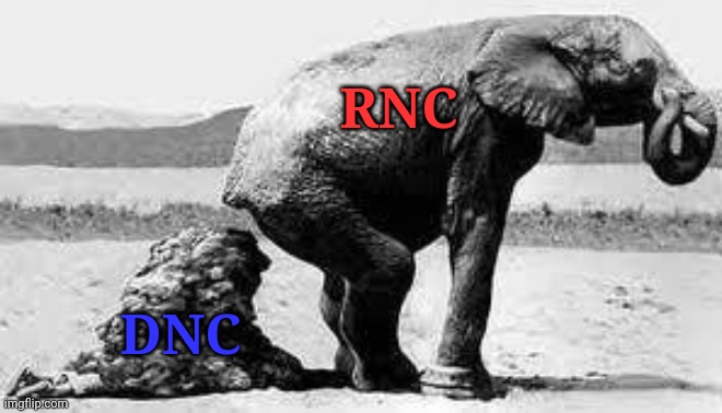 RNC/DNC | RNC; DNC | image tagged in elephant poopy,rnc,dnc,memes,just a joke,relax | made w/ Imgflip meme maker