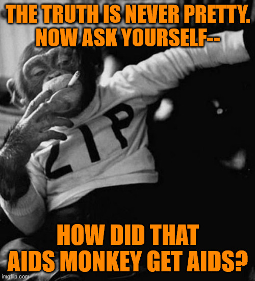 monkey smoke zip | THE TRUTH IS NEVER PRETTY.
NOW ASK YOURSELF-- HOW DID THAT AIDS MONKEY GET AIDS? | image tagged in monkey smoke zip | made w/ Imgflip meme maker