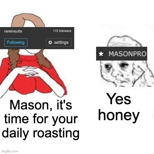 Rareinsults at the moment: | Yes honey; Mason, it's time for your daily roasting | image tagged in yes honey | made w/ Imgflip meme maker