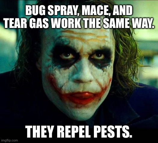 Bug spray, mace, and tear gas work the same way | BUG SPRAY, MACE, AND TEAR GAS WORK THE SAME WAY. THEY REPEL PESTS. | image tagged in joker it's simple we kill the batman,memes,protest,gas,bugs,riots | made w/ Imgflip meme maker