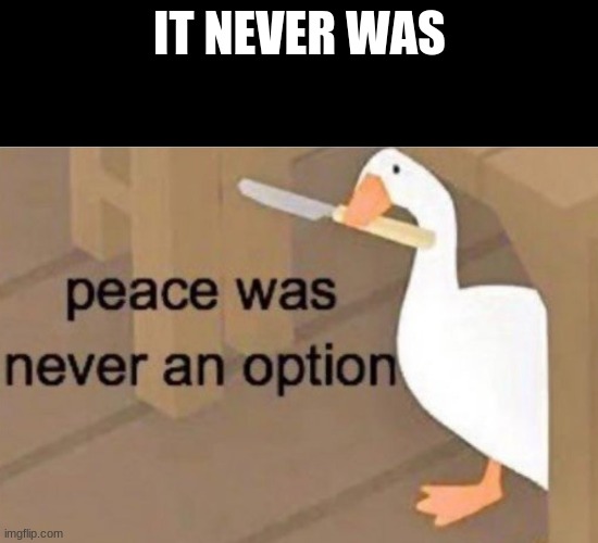 Peace was never an option | IT NEVER WAS | image tagged in peace was never an option | made w/ Imgflip meme maker