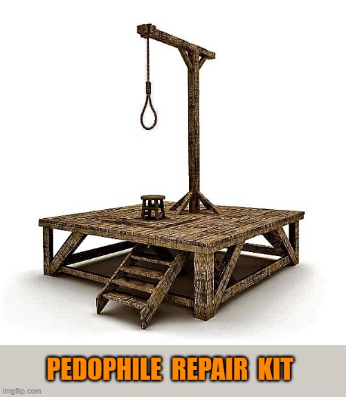 Hanging Setup | PEDOPHILE  REPAIR  KIT | image tagged in pedophiles,pedophilia,pedo,hanging,hangman,child molester | made w/ Imgflip meme maker