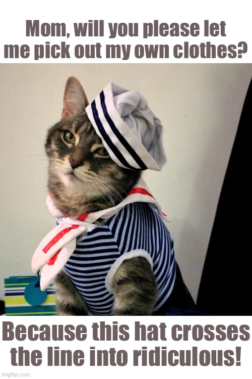 Mommy’s Little Sailor | Mom, will you please let me pick out my own clothes? Because this hat crosses the line into ridiculous! | image tagged in funny memes,cats,cat,funny meme | made w/ Imgflip meme maker