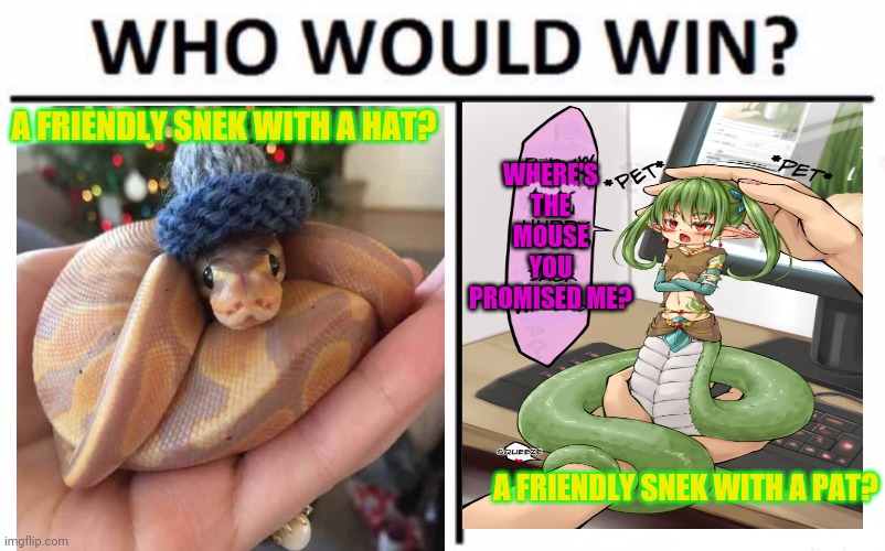 Snek vs snek | WHERE'S THE MOUSE YOU PROMISED ME? A FRIENDLY SNEK WITH A HAT? A FRIENDLY SNEK WITH A PAT? | image tagged in memes,who would win,snek,anime girl | made w/ Imgflip meme maker