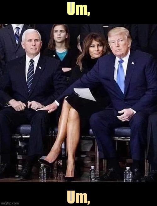 Is there something going on here we don't know about? | Um, Um, | image tagged in trump fondles pence's leg instead of melania's,trump,pence,melania,hand,oops | made w/ Imgflip meme maker