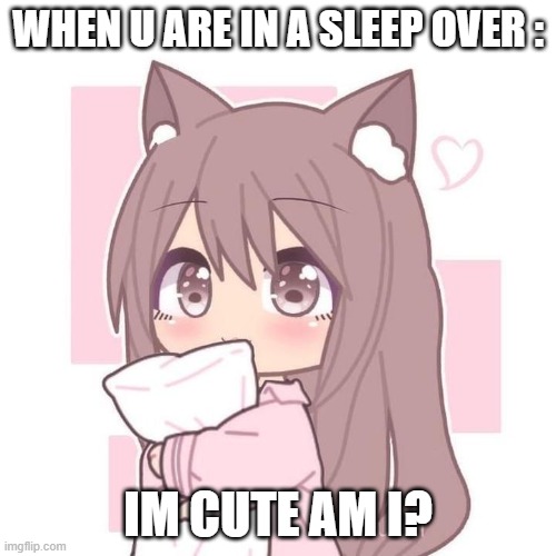 Sleepover meme | WHEN U ARE IN A SLEEP OVER :; IM CUTE AM I? | image tagged in memes,funny,cute | made w/ Imgflip meme maker