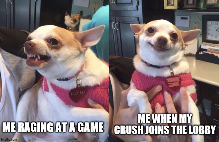 Angry Dog Smiling Dog | ME RAGING AT A GAME; ME WHEN MY CRUSH JOINS THE LOBBY | image tagged in angry dog smiling dog | made w/ Imgflip meme maker