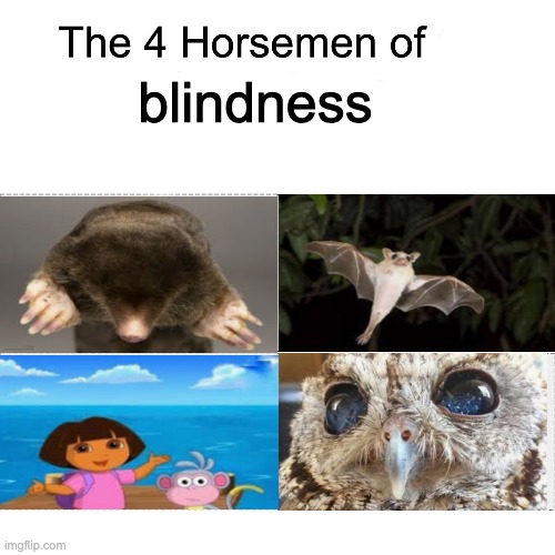 Four horsemen |  blindness | image tagged in four horsemen,blindness | made w/ Imgflip meme maker