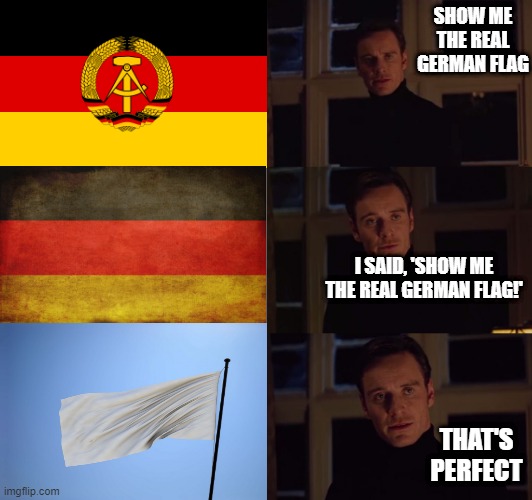 perfection | SHOW ME THE REAL GERMAN FLAG; I SAID, 'SHOW ME THE REAL GERMAN FLAG!'; THAT'S PERFECT | image tagged in perfection,ww1,ww2,history,memes,surrender | made w/ Imgflip meme maker