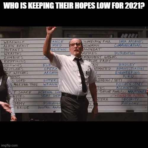 who had | WHO IS KEEPING THEIR HOPES LOW FOR 2021? | image tagged in who had,2021,low hopes,bad year,2020,next year | made w/ Imgflip meme maker