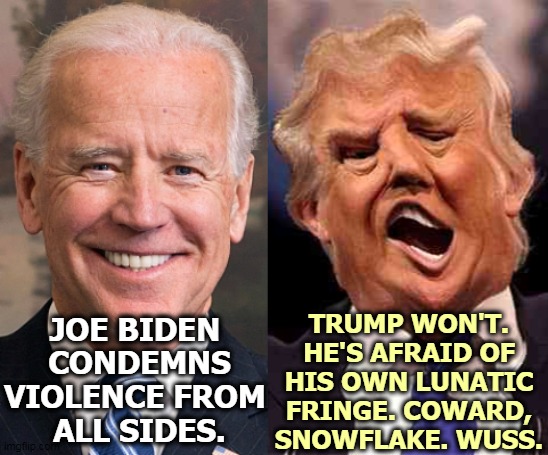 Trump will say nothing to offend neo-Nazis, white supremacists or right wing vigilante groups. Trump is a spineless weakling. | TRUMP WON'T. HE'S AFRAID OF HIS OWN LUNATIC FRINGE. COWARD, SNOWFLAKE. WUSS. JOE BIDEN 
CONDEMNS VIOLENCE FROM 
ALL SIDES. | image tagged in biden solid stable trump acid drugs,trump,neo-nazis,white supremacists,right wing,weak | made w/ Imgflip meme maker