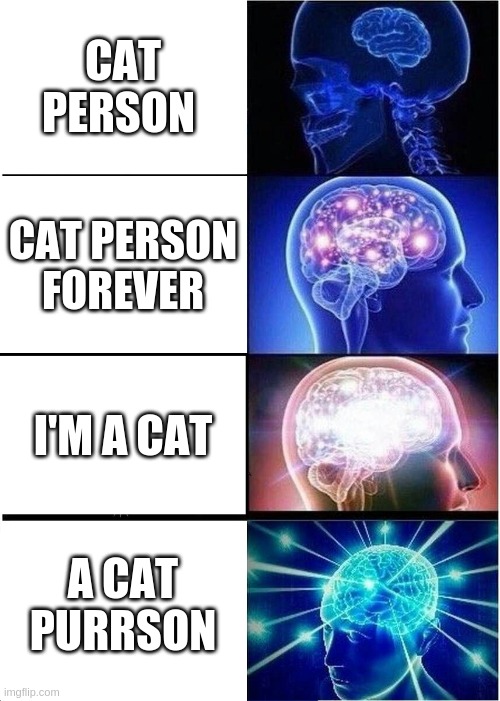 Expanding Brain Meme | CAT PERSON; CAT PERSON FOREVER; I'M A CAT; A CAT PURRSON | image tagged in memes,expanding brain | made w/ Imgflip meme maker