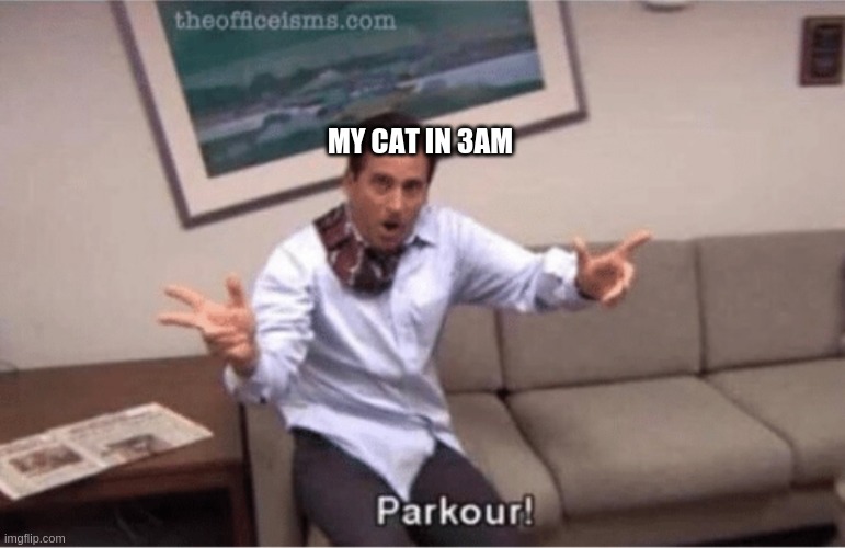 parkour! | MY CAT IN 3AM | image tagged in parkour | made w/ Imgflip meme maker