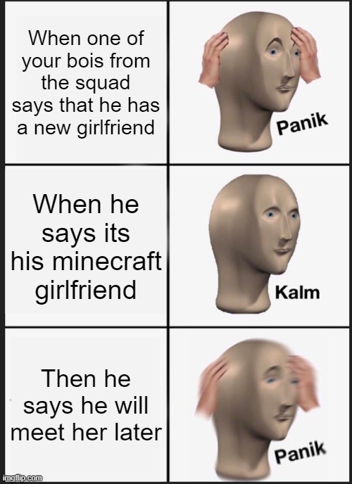 Very panik | When one of your bois from the squad says that he has a new girlfriend; When he says its his minecraft girlfriend; Then he says he will meet her later | image tagged in memes,panik kalm panik,minecraft,panik | made w/ Imgflip meme maker