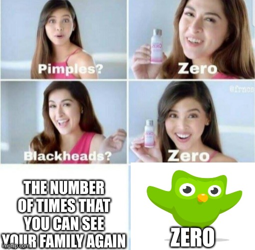 Pimples, Zero! | THE NUMBER OF TIMES THAT YOU CAN SEE YOUR FAMILY AGAIN; ZERO | image tagged in pimples zero,duolingo,memes | made w/ Imgflip meme maker