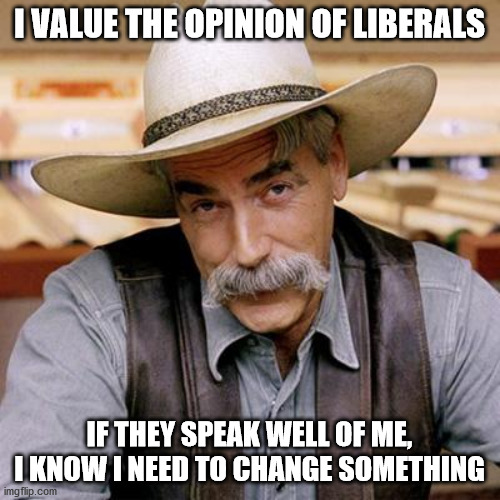 SARCASM COWBOY | I VALUE THE OPINION OF LIBERALS IF THEY SPEAK WELL OF ME, I KNOW I NEED TO CHANGE SOMETHING | image tagged in sarcasm cowboy | made w/ Imgflip meme maker