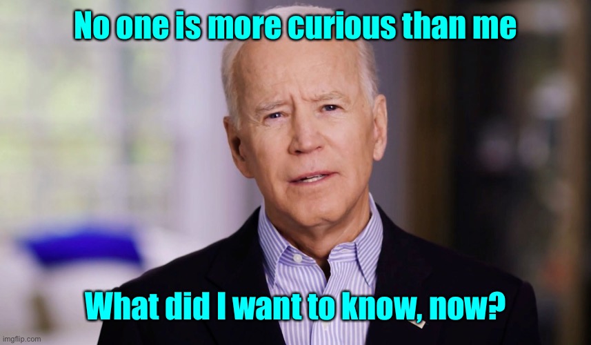 Joe Biden 2020 | No one is more curious than me What did I want to know, now? | image tagged in joe biden 2020 | made w/ Imgflip meme maker