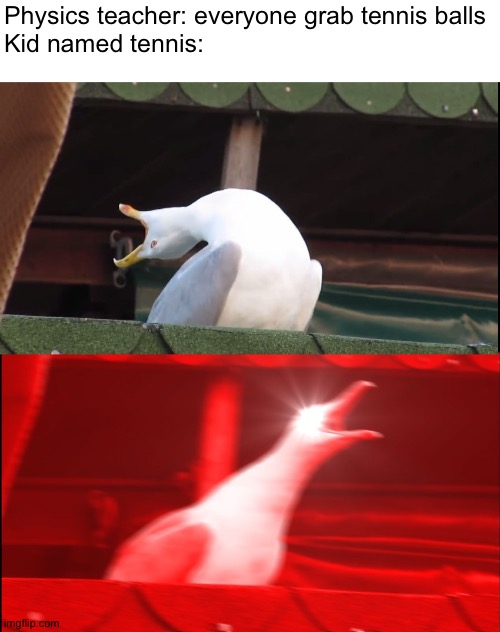 Ouch | Physics teacher: everyone grab tennis balls
Kid named tennis: | image tagged in screaming bird,memes,funny,tennis,balls,seagull | made w/ Imgflip meme maker