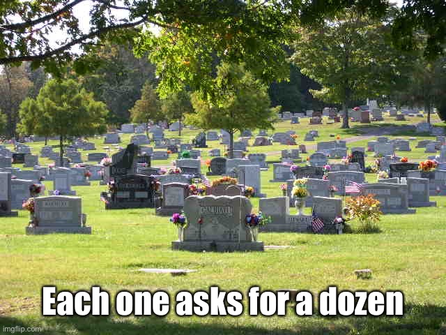 cemetery | Each one asks for a dozen | image tagged in cemetery | made w/ Imgflip meme maker