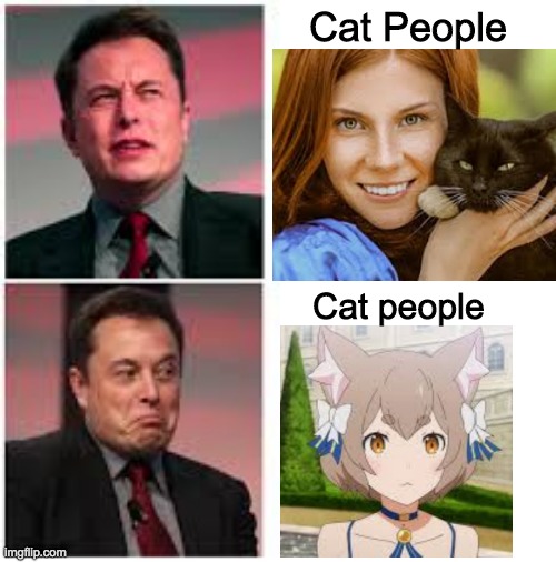fcghbjnyfghjbdfxg | Cat People; Cat people | image tagged in 5ijvufueitmuot,elon musk,catgirl,jjgcfgxxdrstxhc,ooiokkikojiojil | made w/ Imgflip meme maker