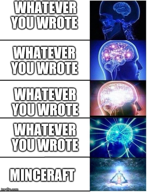 Expanding Brain 5 Panel | WHATEVER YOU WROTE WHATEVER YOU WROTE WHATEVER YOU WROTE WHATEVER YOU WROTE MINCERAFT | image tagged in expanding brain 5 panel | made w/ Imgflip meme maker