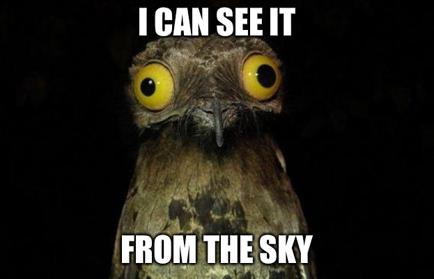 Weird Stuff I Do Potoo Meme | I CAN SEE IT FROM THE SKY | image tagged in memes,weird stuff i do potoo | made w/ Imgflip meme maker