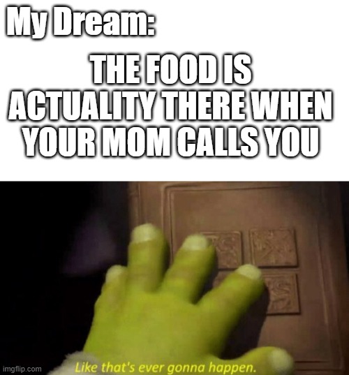 My Dream:; THE FOOD IS ACTUALITY THERE WHEN YOUR MOM CALLS YOU | image tagged in like that's ever gonna happen,food,memes,lol,mom | made w/ Imgflip meme maker