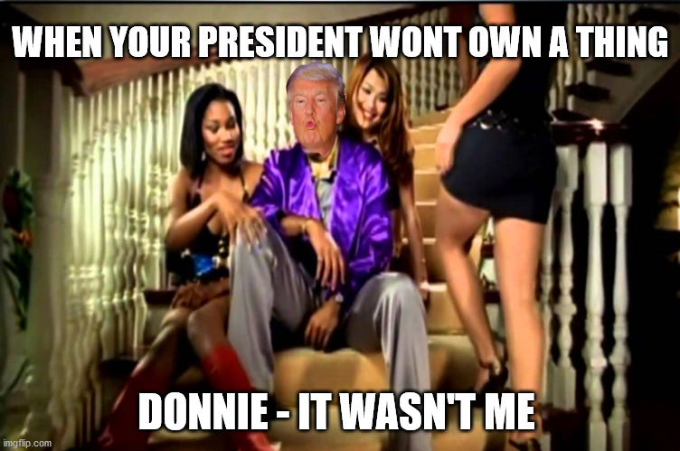 Donnie v shaggy | WHEN YOUR PRESIDENT WONT OWN A THING; DONNIE - IT WASN'T ME | image tagged in donald trump,joe biden,2020 elections | made w/ Imgflip meme maker
