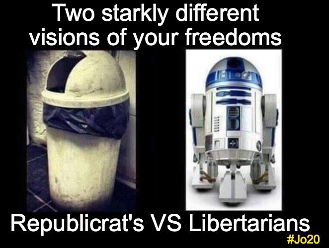 Different visions of your freedoms | Two starkly different visions of your freedoms; Republicrat's VS Libertarians; #Jo20 | image tagged in before and after,freedom,liberty,republican,democrat,libertarian | made w/ Imgflip meme maker