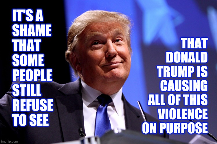 This Is All Happening In Trump's America | THAT DONALD TRUMP IS CAUSING ALL OF THIS VIOLENCE ON PURPOSE; IT'S A 
SHAME 
THAT 
SOME 
PEOPLE
STILL 
REFUSE 
TO SEE | image tagged in donald trump no2,memes,trump unfit unqualified dangerous,liar in chief,a liar and a murderer,lock him up | made w/ Imgflip meme maker