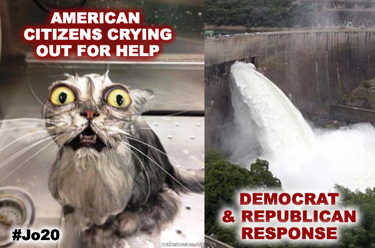 Not the kind of help we need... | AMERICAN  CITIZENS CRYING OUT FOR HELP; DEMOCRAT & REPUBLICAN RESPONSE; #Jo20 | image tagged in help me wet cat,cat,wet cat,not helping,election 2020 | made w/ Imgflip meme maker