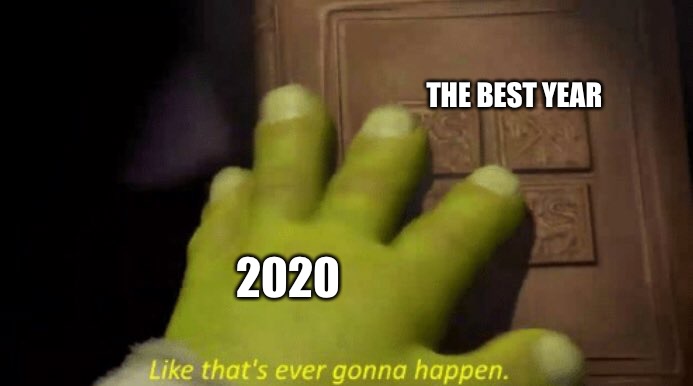 I wish it was the opposite | THE BEST YEAR; 2020 | image tagged in like that's ever gonna happen,memes,funny,shrek,2020,2020 sucks | made w/ Imgflip meme maker