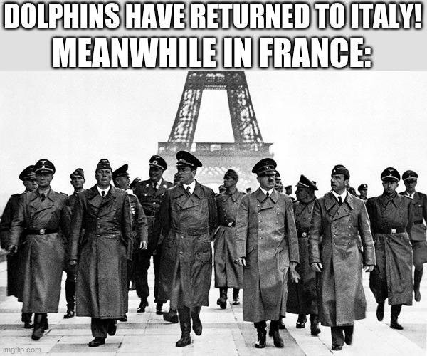 France you better watch out- | DOLPHINS HAVE RETURNED TO ITALY! MEANWHILE IN FRANCE: | image tagged in nazi paris | made w/ Imgflip meme maker