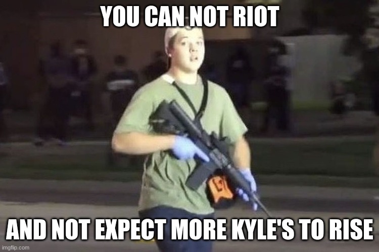 Why we have jury nullification | YOU CAN NOT RIOT; AND NOT EXPECT MORE KYLE'S TO RISE | image tagged in kyle rittenhouse,jury nullification,free kyle,thank you kyle,we the people,2nd amendment | made w/ Imgflip meme maker