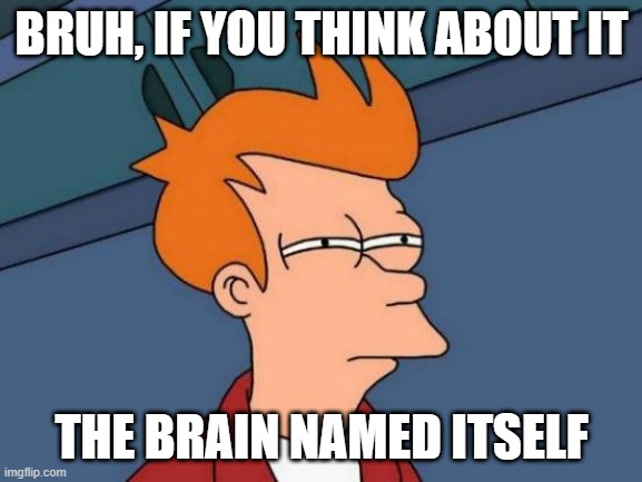 Futurama Fry | BRUH, IF YOU THINK ABOUT IT; THE BRAIN NAMED ITSELF | image tagged in memes,futurama fry | made w/ Imgflip meme maker