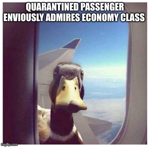 Flying in a time of Covid | image tagged in funny memes | made w/ Imgflip meme maker