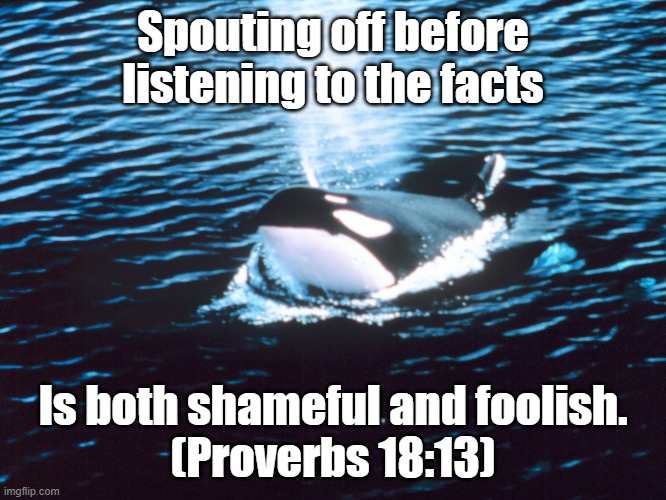 Think before you speak | Spouting off before listening to the facts; Is both shameful and foolish.
(Proverbs 18:13) | image tagged in orce spouting off,patience,wisdom,facts | made w/ Imgflip meme maker