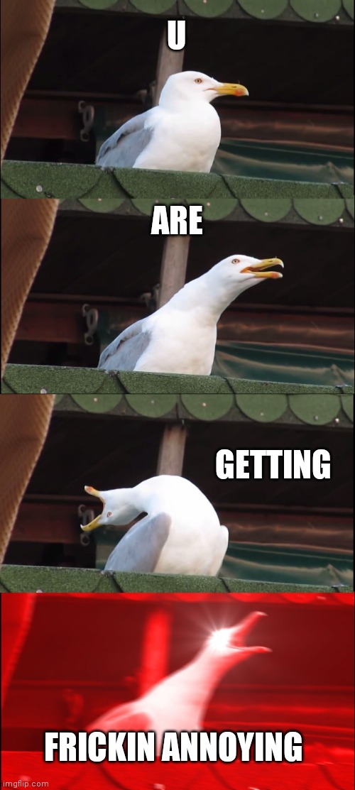 Inhaling Seagull Meme | U ARE GETTING FRICKIN ANNOYING | image tagged in memes,inhaling seagull | made w/ Imgflip meme maker