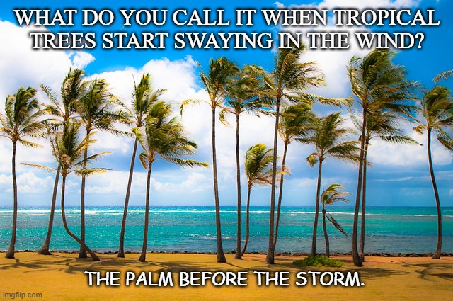 Daily Bad Dad Joke September 1 2020 | WHAT DO YOU CALL IT WHEN TROPICAL TREES START SWAYING IN THE WIND? THE PALM BEFORE THE STORM. | image tagged in trees | made w/ Imgflip meme maker
