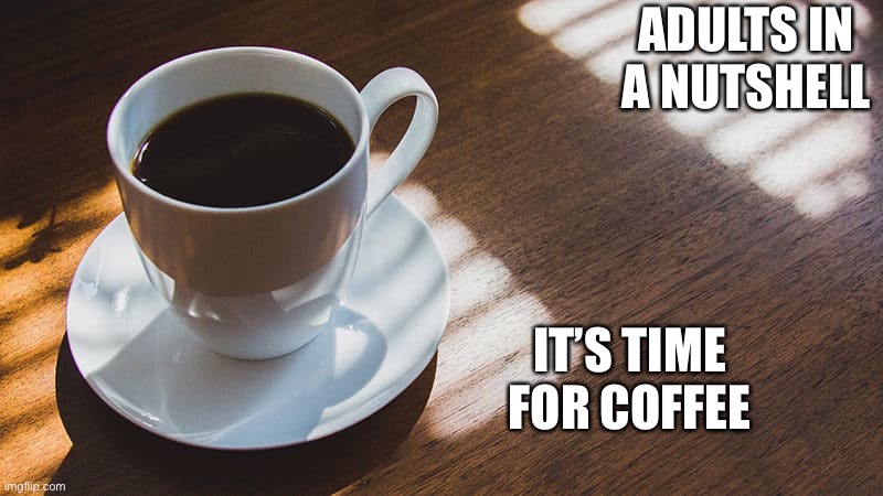 Adults in a nutshell | ADULTS IN A NUTSHELL; IT’S TIME FOR COFFEE | image tagged in coffee,adults,memes,in a nutshell | made w/ Imgflip meme maker