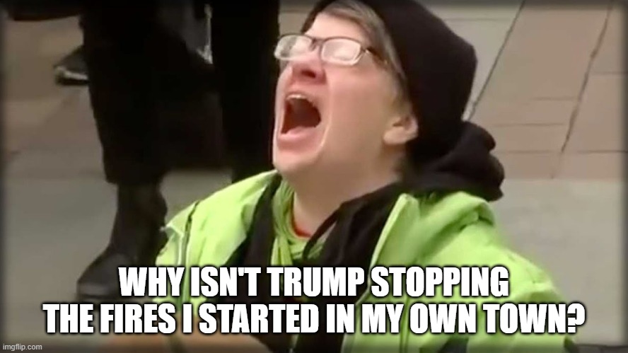 Trump SJW No | WHY ISN'T TRUMP STOPPING THE FIRES I STARTED IN MY OWN TOWN? | image tagged in trump sjw no | made w/ Imgflip meme maker