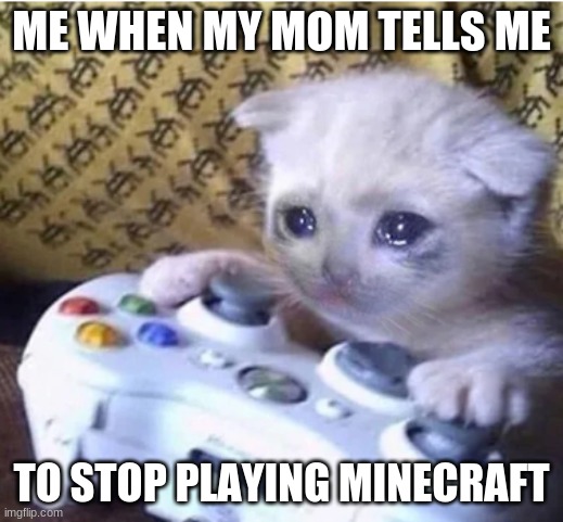 Sad gaming cat | ME WHEN MY MOM TELLS ME; TO STOP PLAYING MINECRAFT | image tagged in sad gaming cat | made w/ Imgflip meme maker