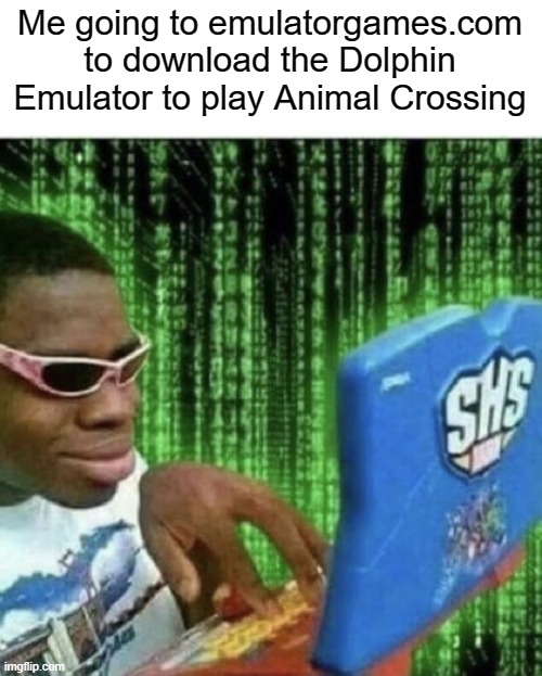 Yes, I do this kind of stuff. | Me going to emulatorgames.com to download the Dolphin Emulator to play Animal Crossing | image tagged in ryan beckford,animal crossing,wii | made w/ Imgflip meme maker