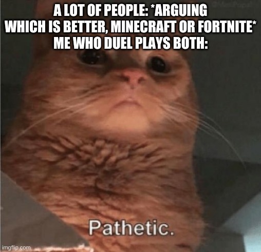 Saeson 4 chpater 2 is lit, the marvel season has arrived | A LOT OF PEOPLE: *ARGUING WHICH IS BETTER, MINECRAFT OR FORTNITE*
ME WHO DUEL PLAYS BOTH: | image tagged in pathetic cat | made w/ Imgflip meme maker