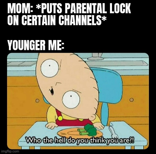 Your Mom | image tagged in family guy,memes,meme,parental control,tv | made w/ Imgflip meme maker