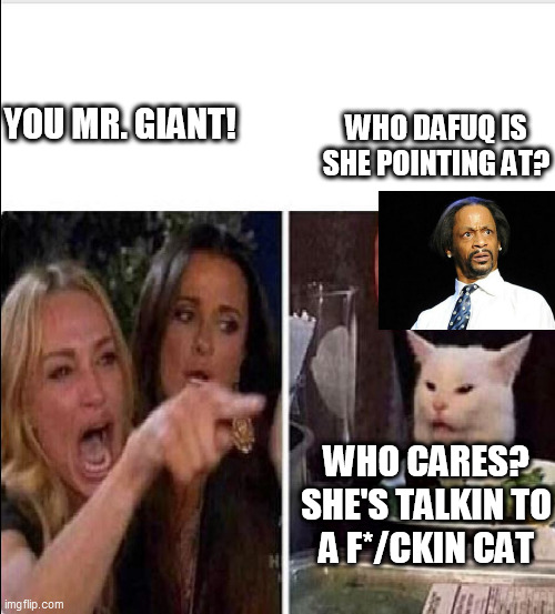 YOU MR. GIANT! WHO DAFUQ IS SHE POINTING AT? WHO CARES?

SHE'S TALKIN TO A F*/CKIN CAT | made w/ Imgflip meme maker